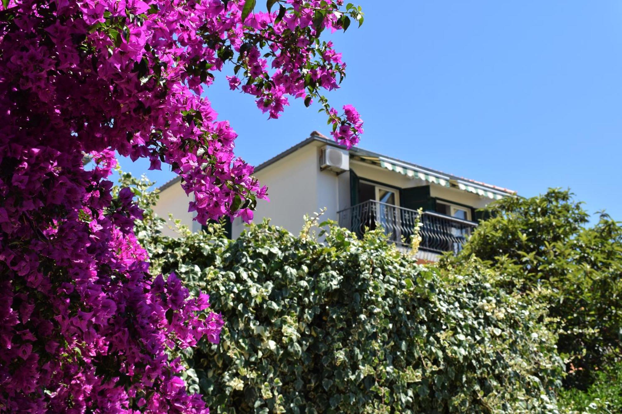 Lina Vrankovic Apartments Hvar Town Exterior photo